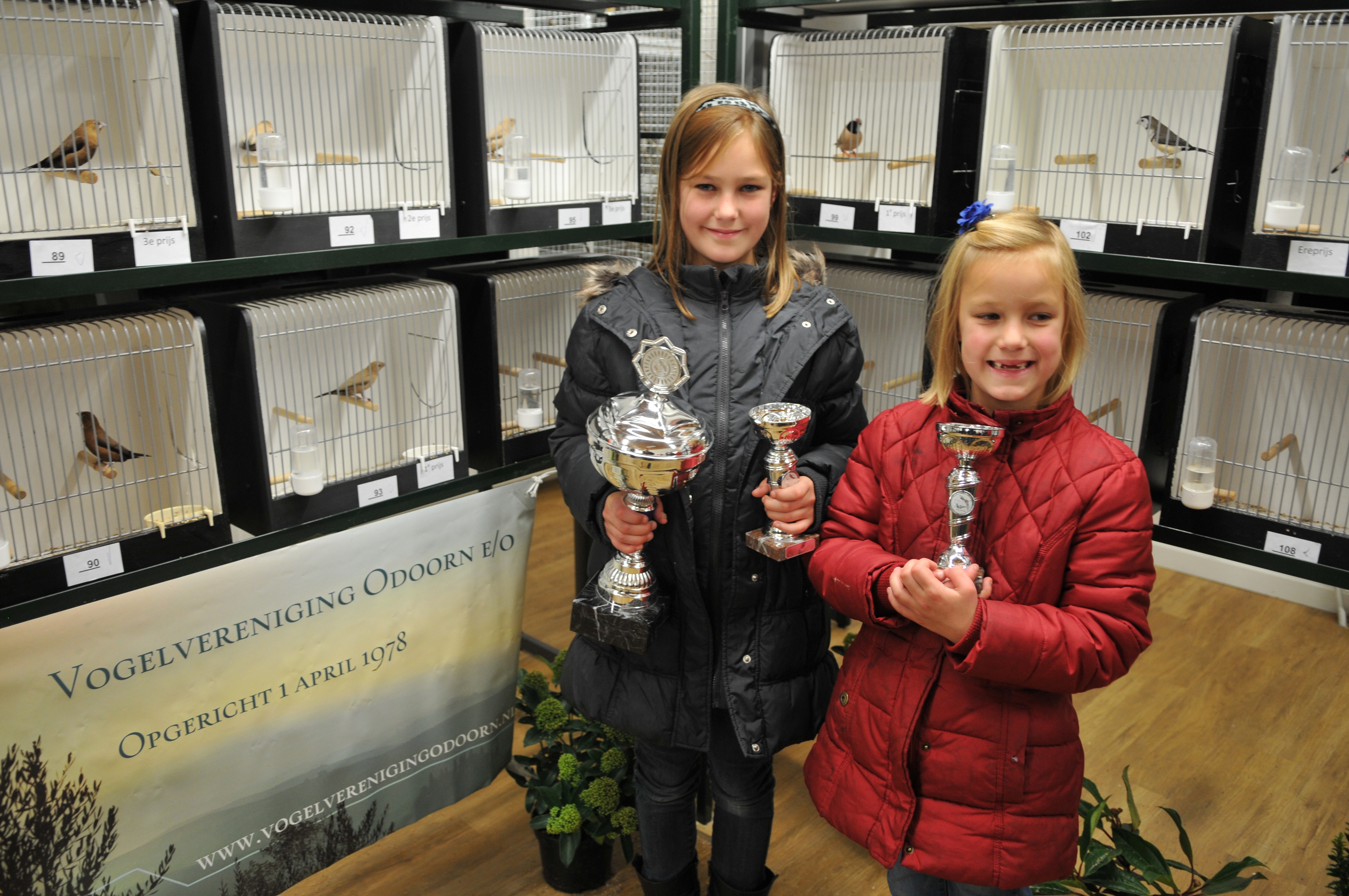 Vogelshow vogelvereniging Odoorn e.o. donderdagavond offieel geopend